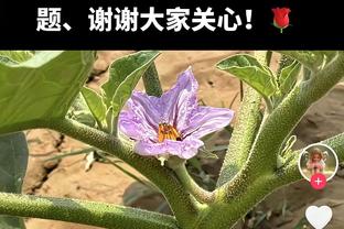 正负值小炸！保罗半场5中2贡献4分4板5助 正负值+16为两队中最高